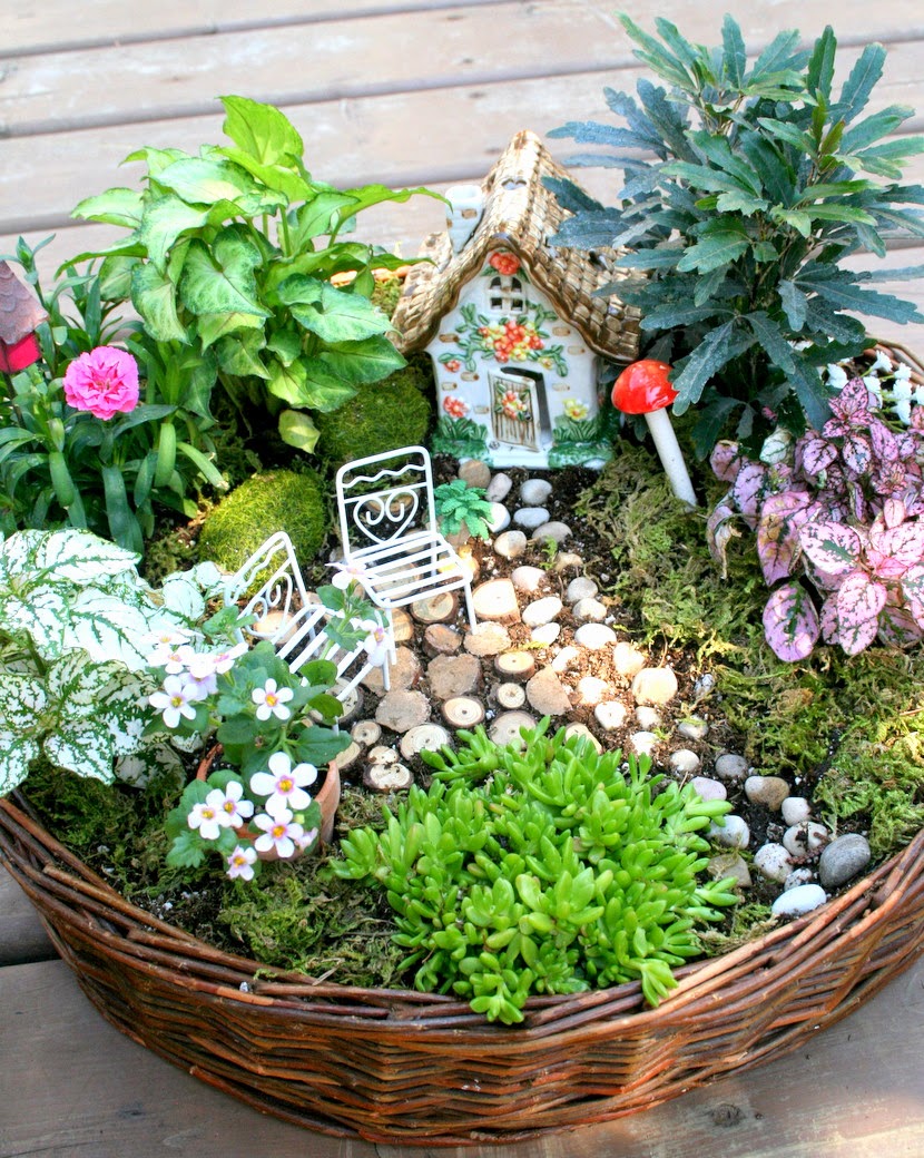 Fairy Garden DIY