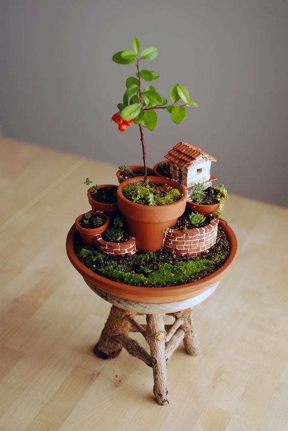 Mini Garden in a Mini Pot