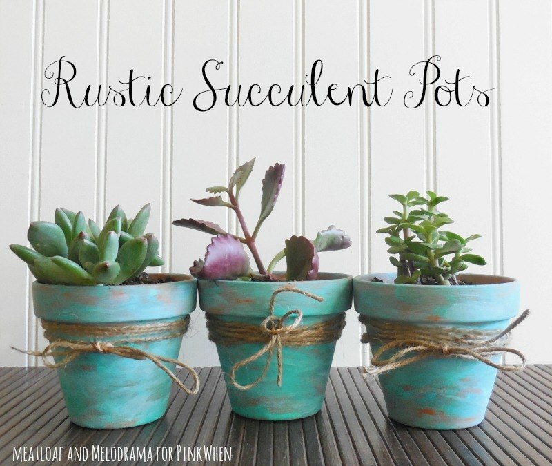 Rustic Succulent Pots