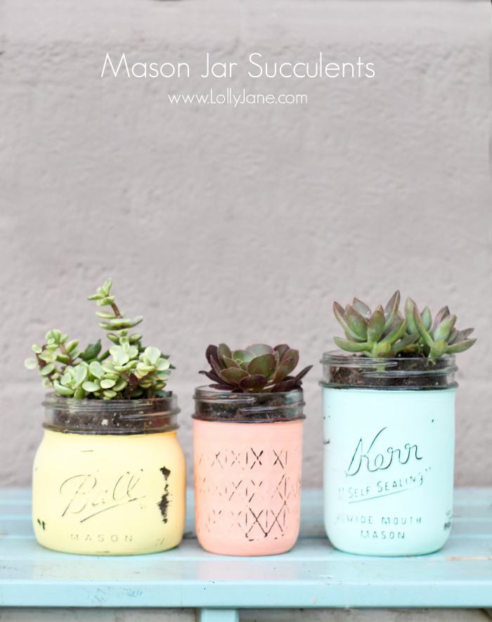 diy mason jar succulents