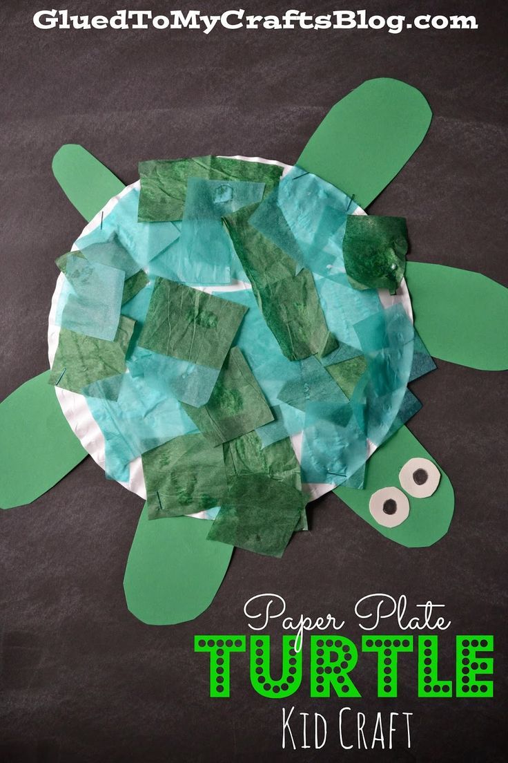 Paper Plate Turtle