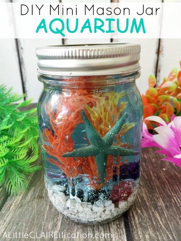 Mini Mason Jar Aquariums 