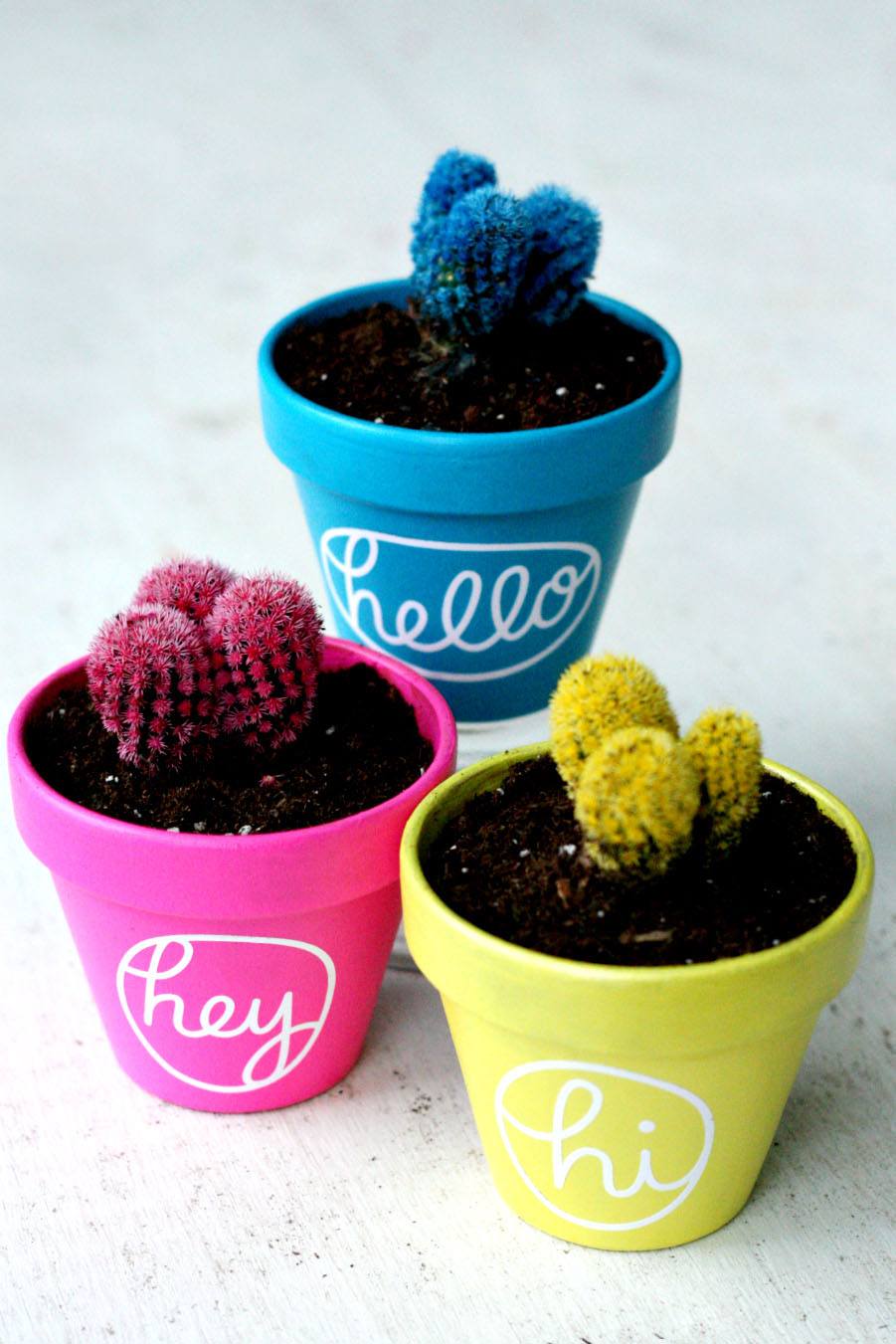 Colorful Hello Cactus Painted Pots
