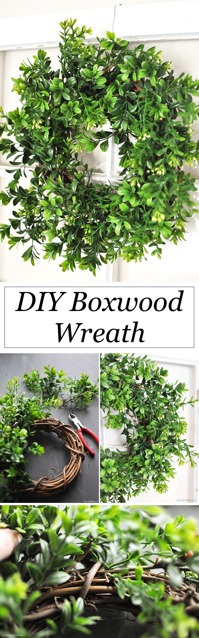 DIY Boxwood Wreath