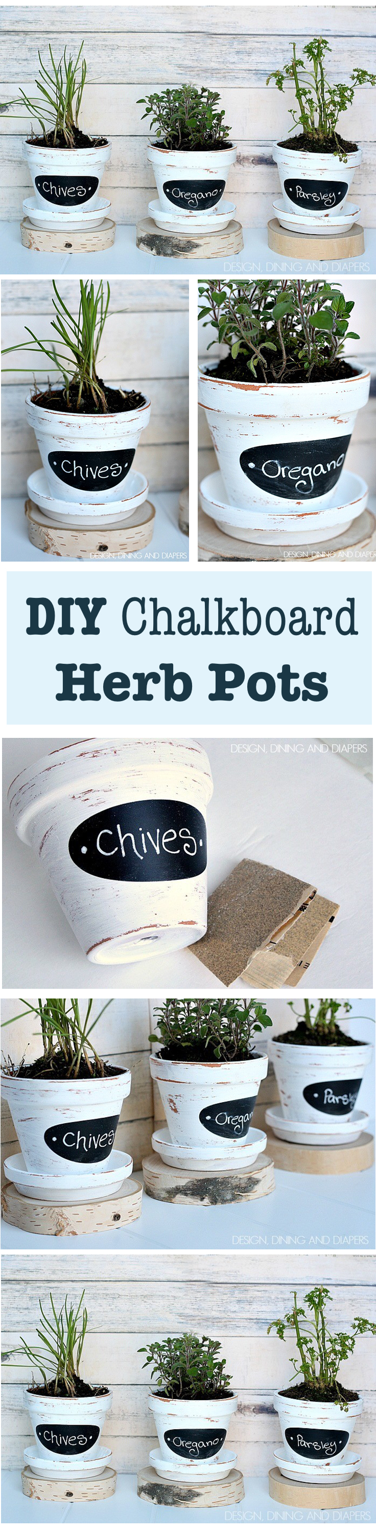  DIY Chalkboard Herb Pots