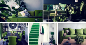 How to Decorate with Pantone Color of the Year 2017 – Greenery
