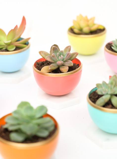 Mini Succulent Pots