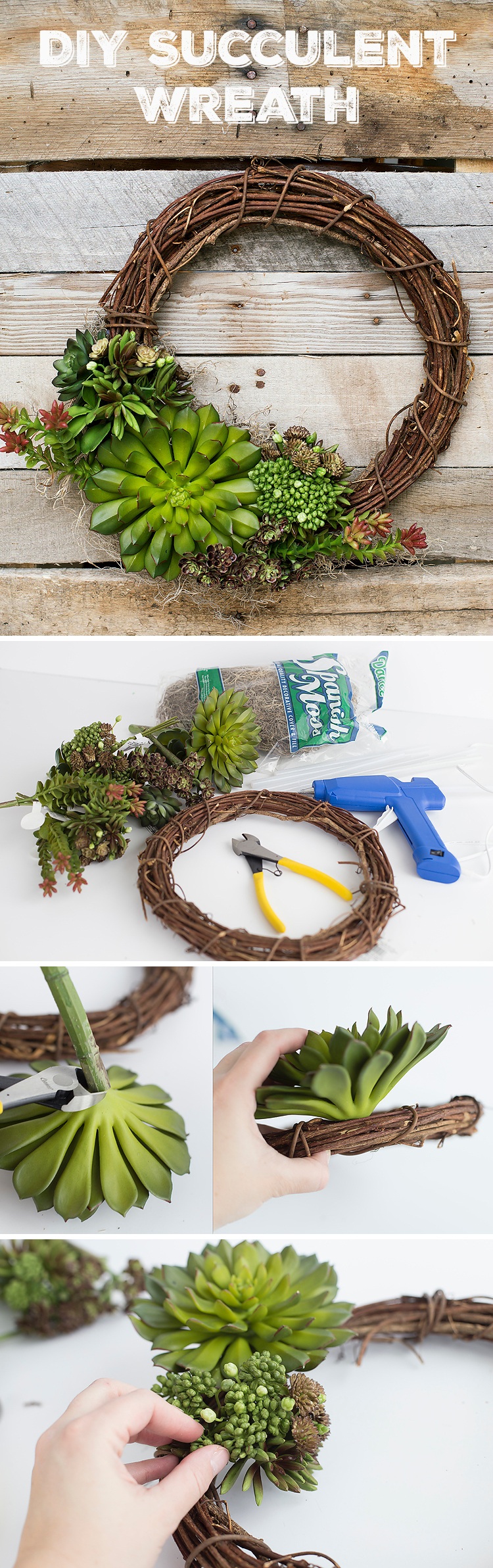Spring Succulent DIY Wreath