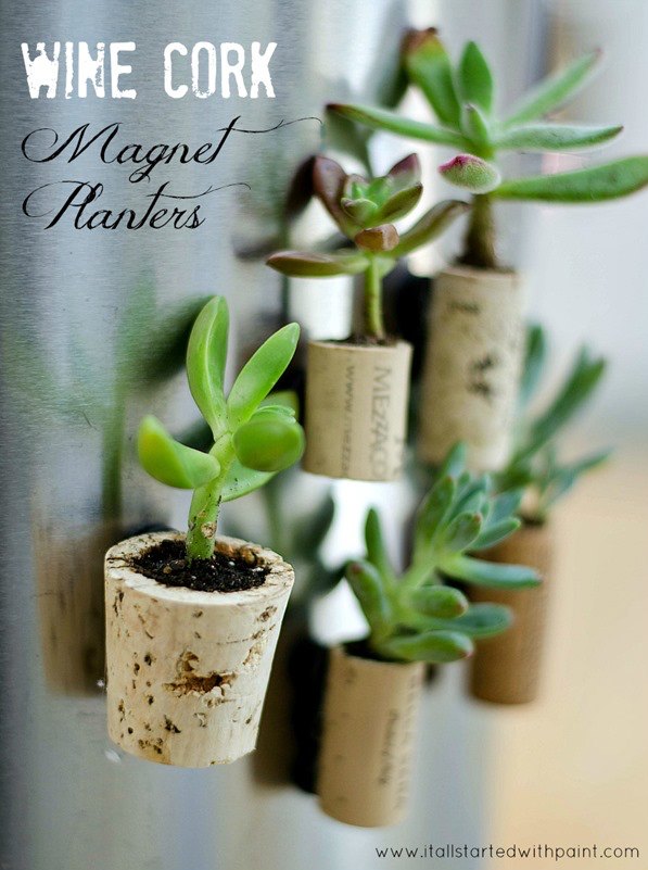 Wine Cork Magnet Succulent Planters