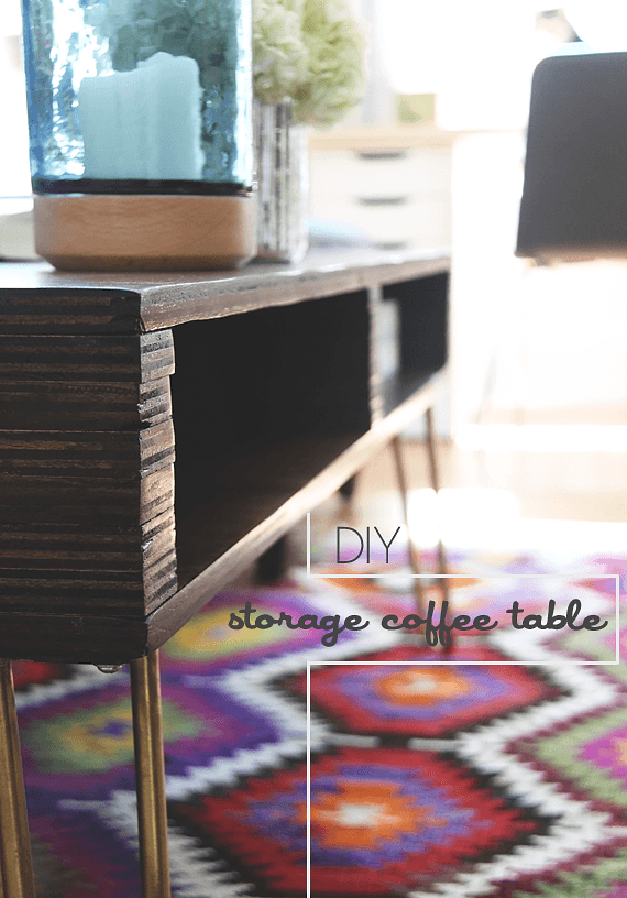 DIY Storage Coffee Table