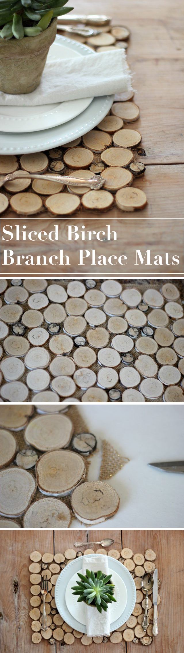 Sliced Birch Branch Place Mats