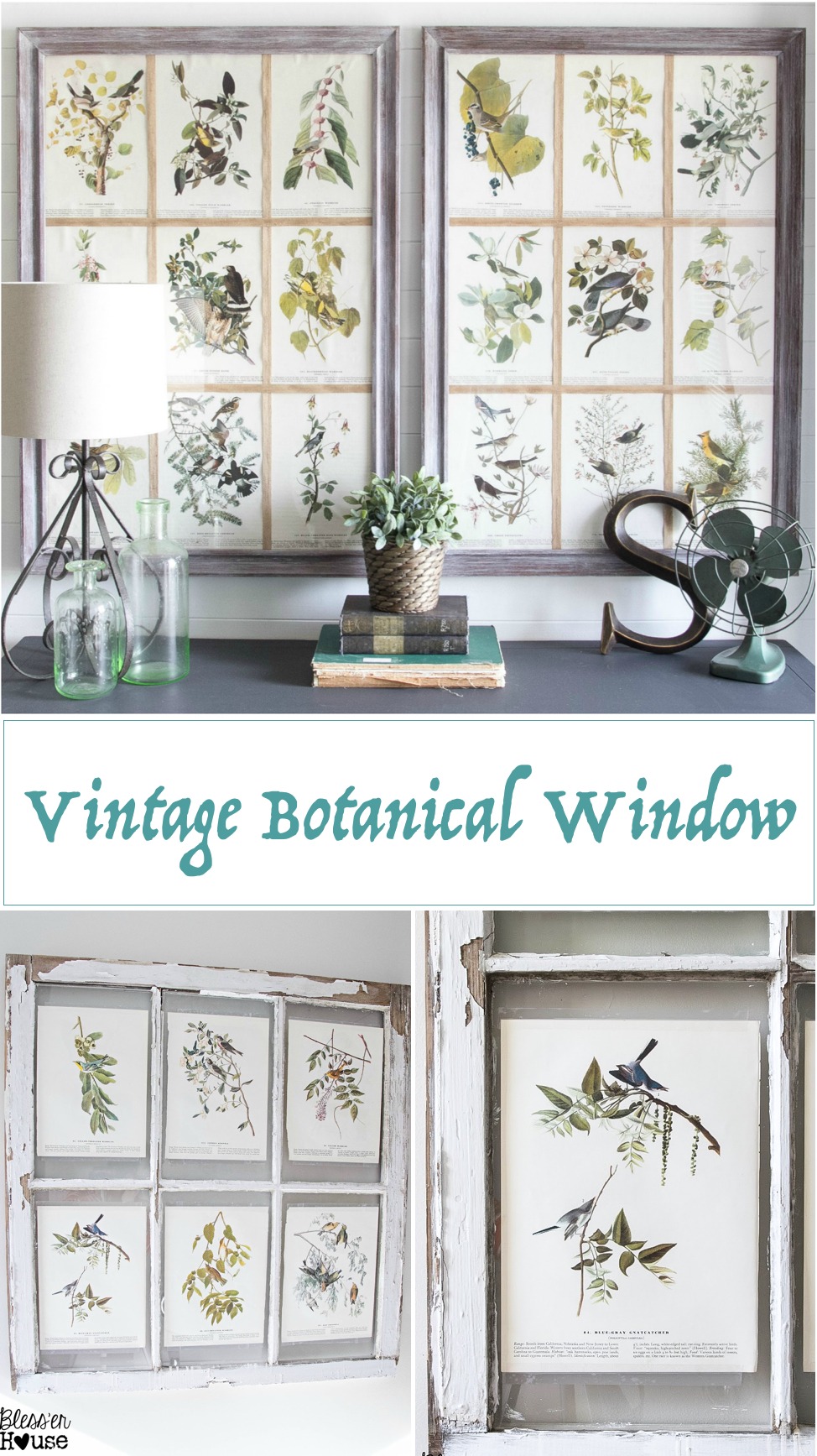 Vintage Botanical Window