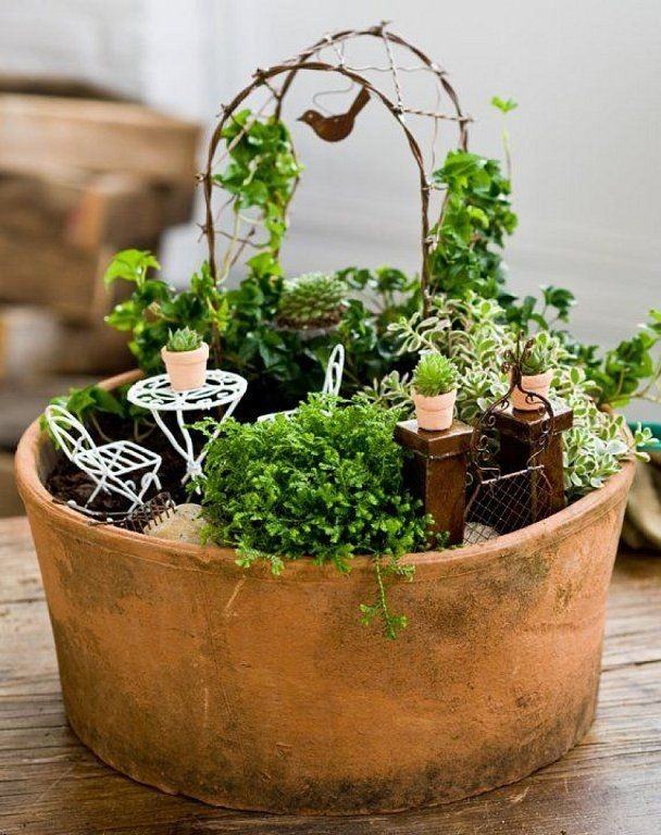 Fairy Garden