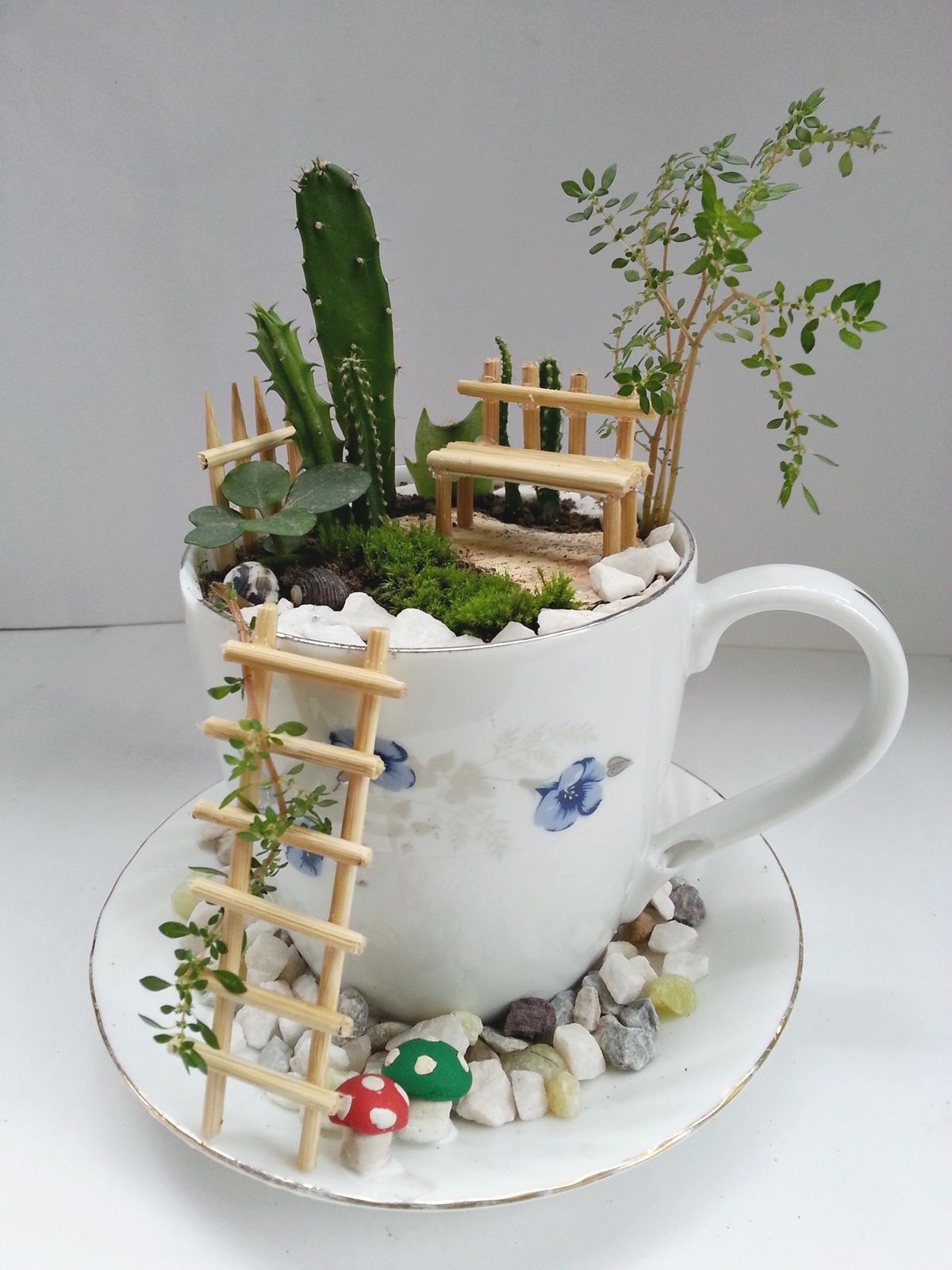 Perfect Fairy Home in a Cup