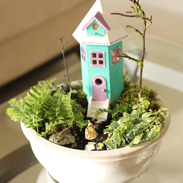 Small Indoor Fairy Garden