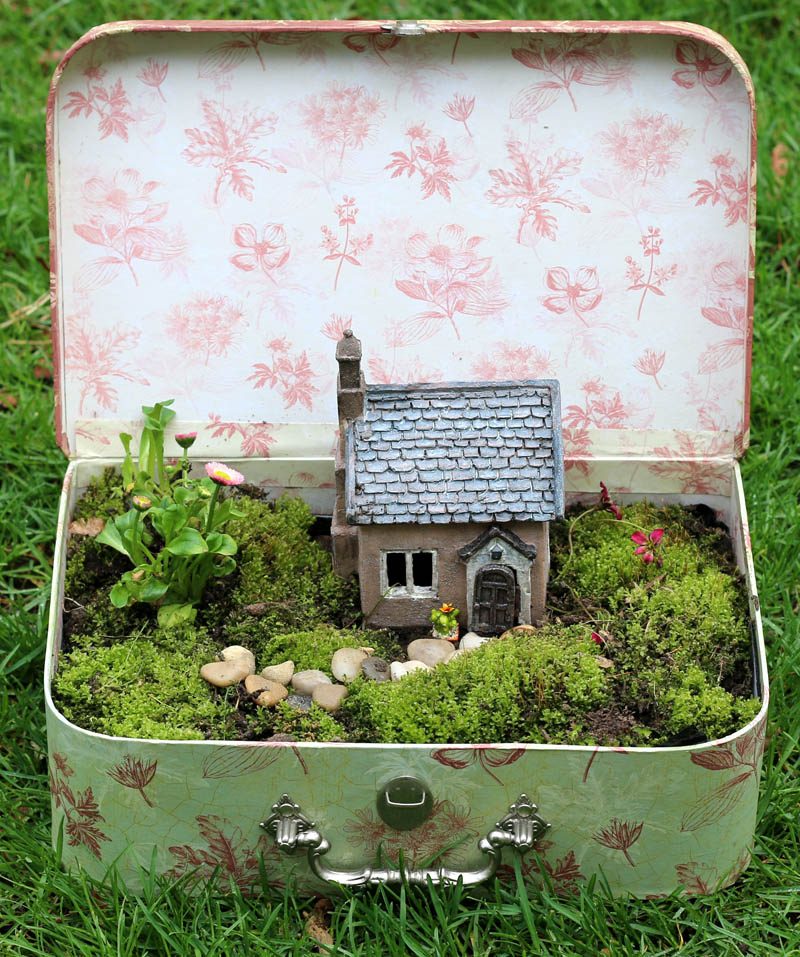Suitcase Fairy Garden