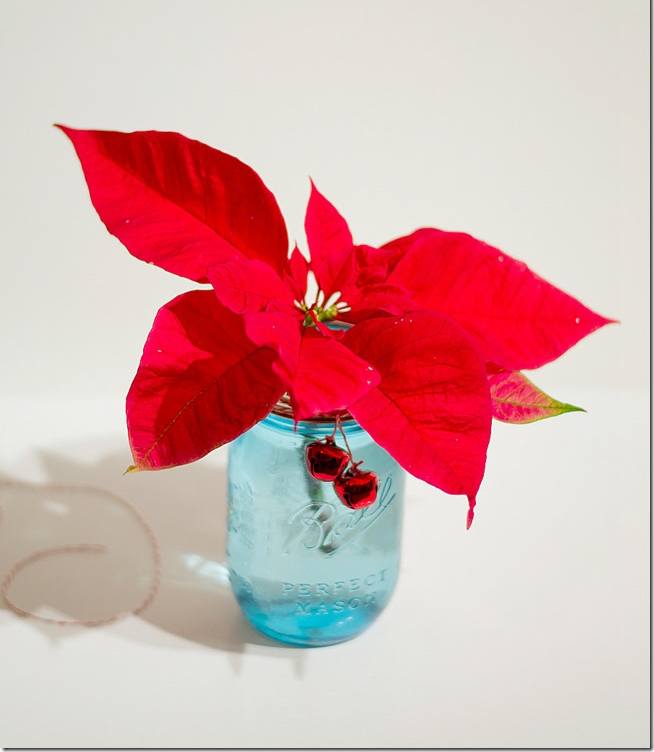 Poinsettia Mason Jar Vase