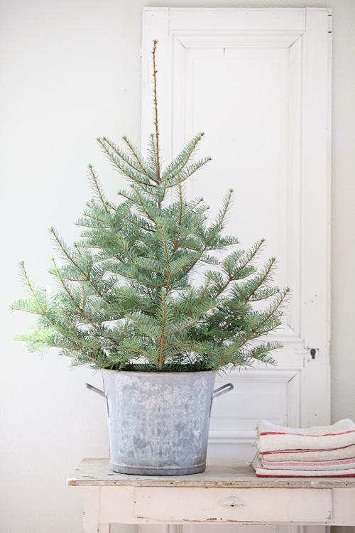 Simple Christmas Tree