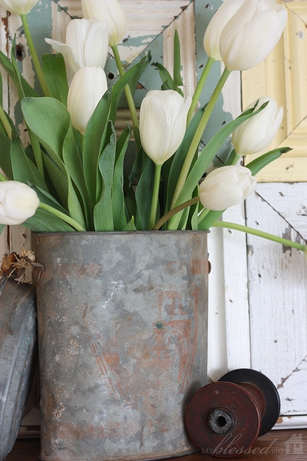 White Tulips and Rusty Aluminum