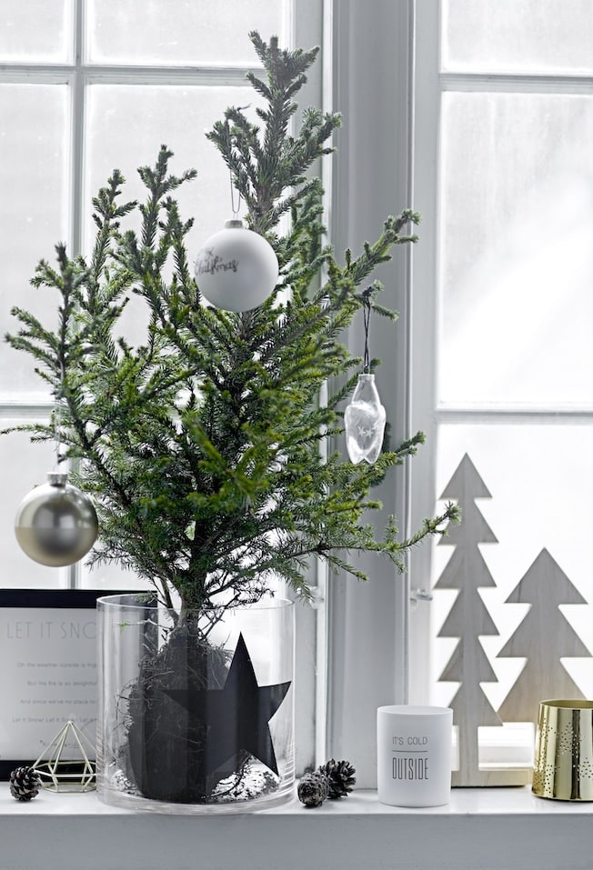 Simple Christmas Tree in a Glass Vase