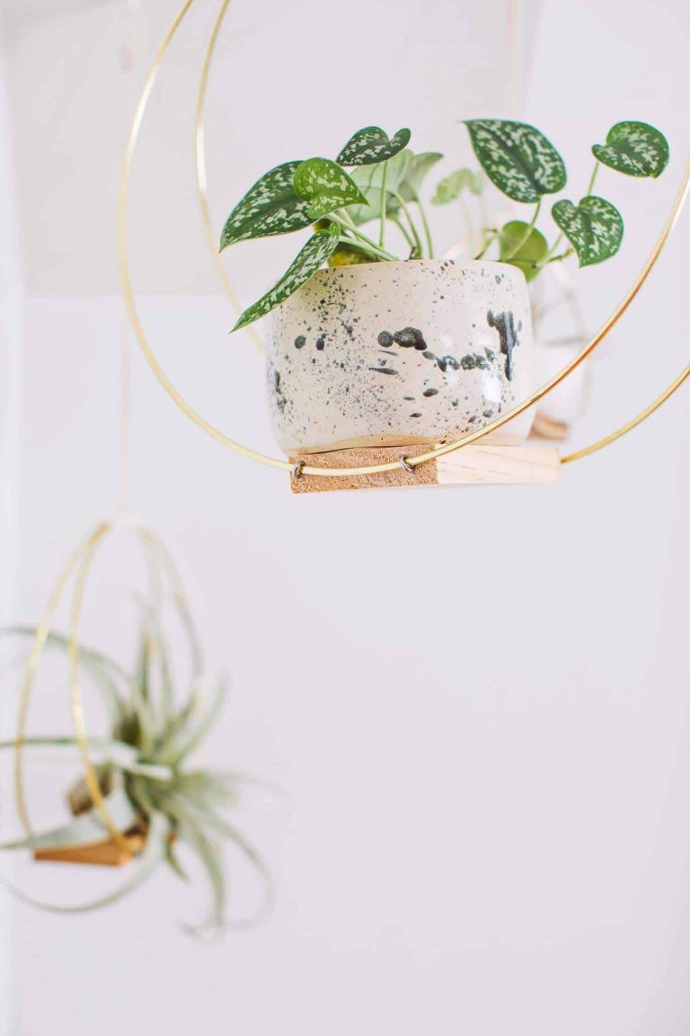 20 Creative DIY Hanging Planters to Display Your Greenery | Homelovr