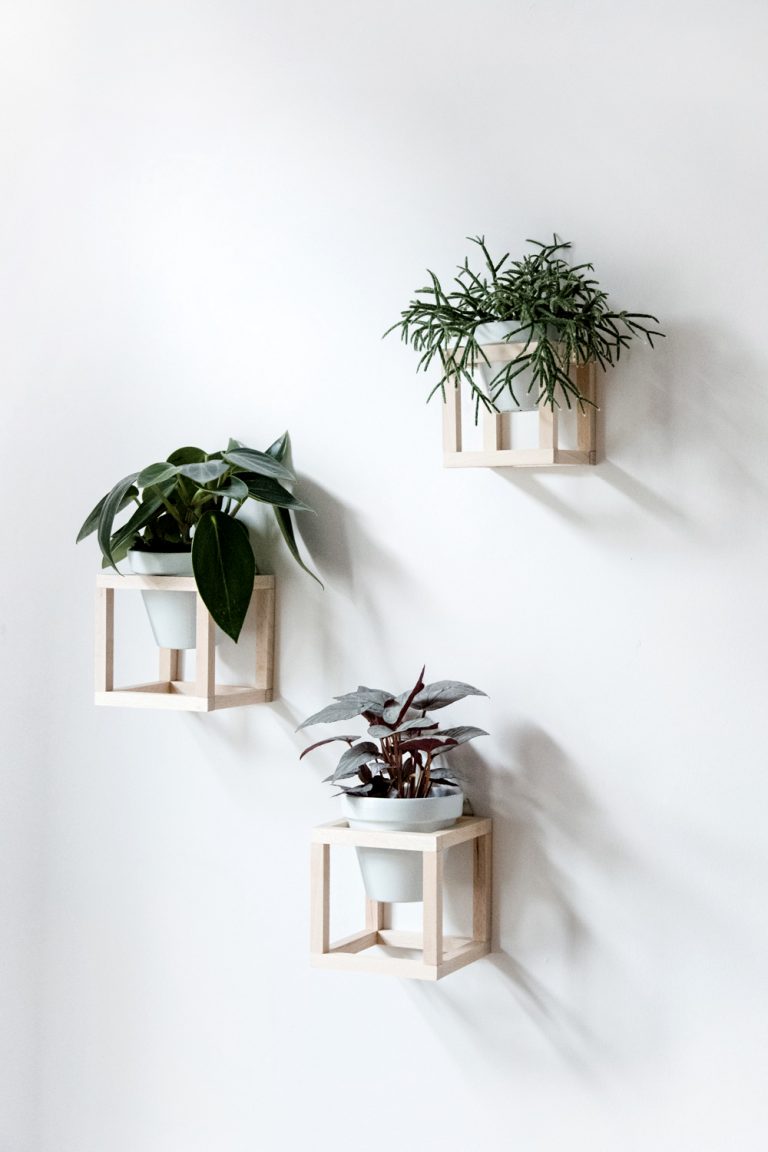 20 Creative DIY Hanging Planters to Display Your Greenery | Homelovr