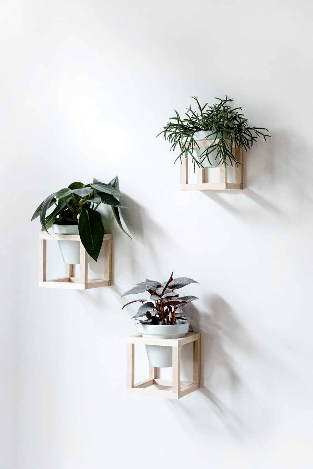 DIY Hanging Plant Holders