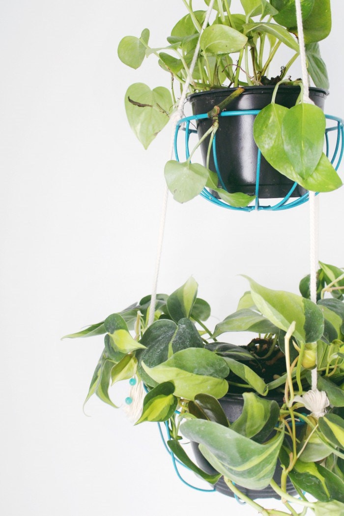 DIY Hanging Wire Planters