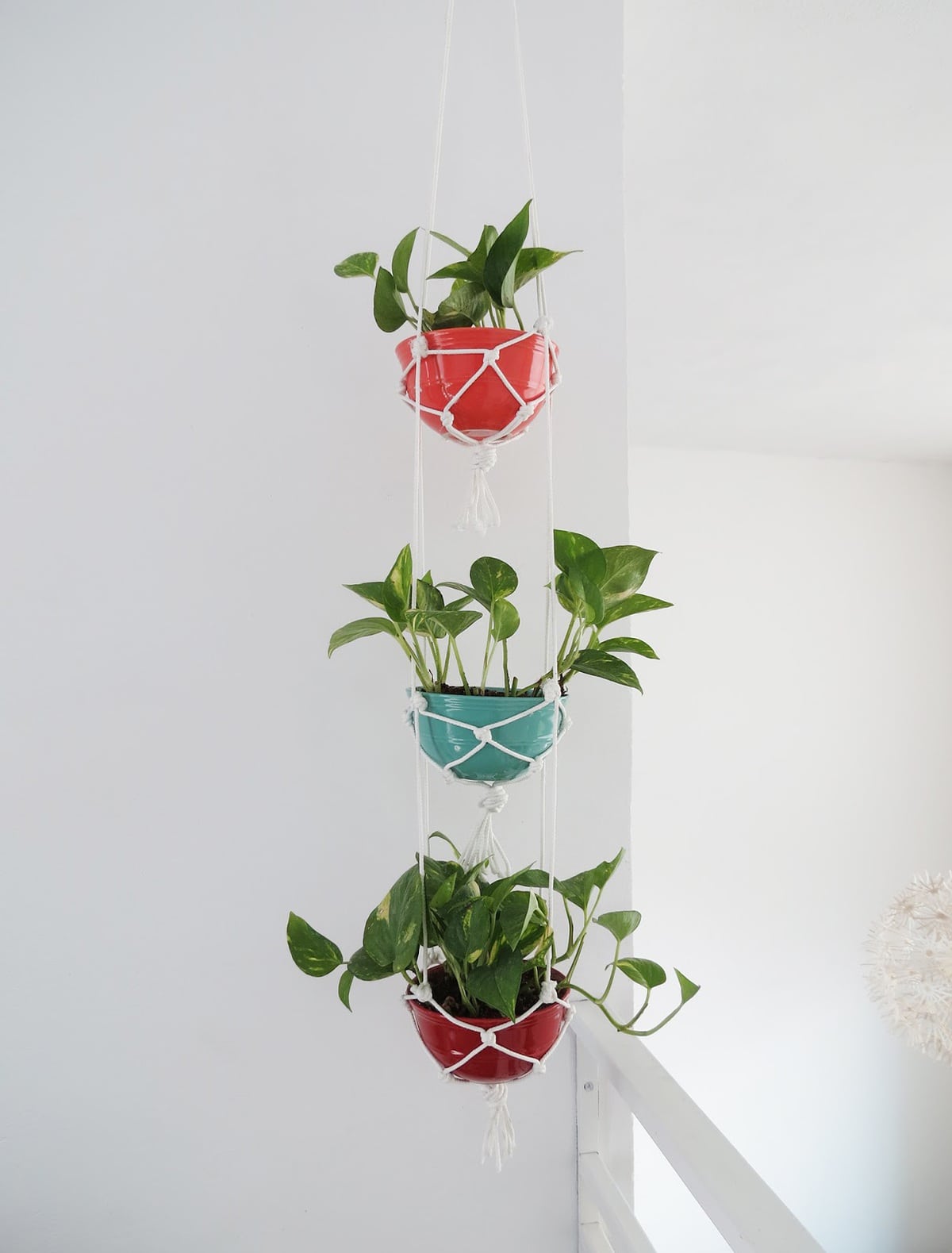 20 Creative DIY Hanging Planters to Display Your Greenery | Homelovr