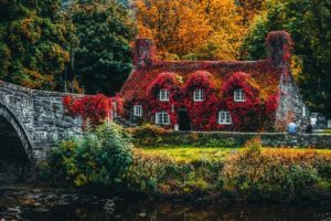 A beautiful house surrounded with colourful flowers.