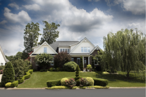 house surrounded by greenery