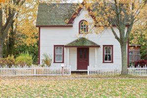 Beautiful house with freenery