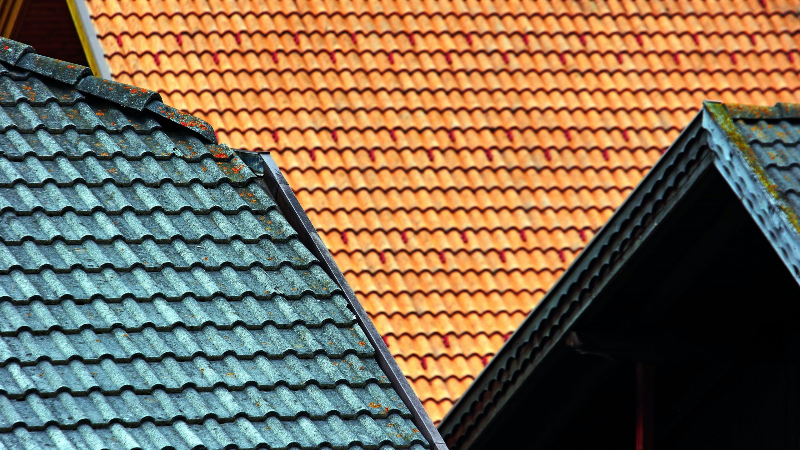 Home's Roof