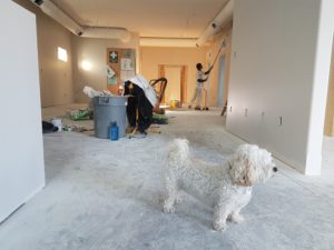 Home Renovation Project