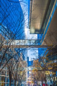 Gazing bars