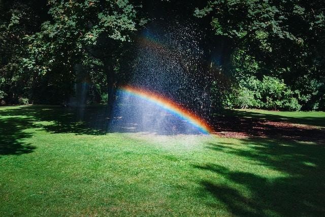 Lawn Drainage