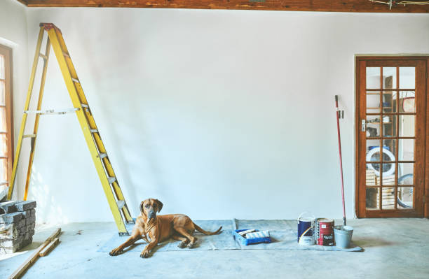 Keeping Your Pup Safe and Happy During a Home Renovations