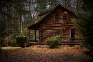 Elevate Your Backyard: A Guide to Choosing and Using Garden Log Cabins