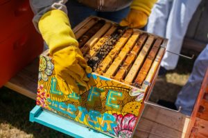 How Sustainable Beekeeping Builds a Greener Future