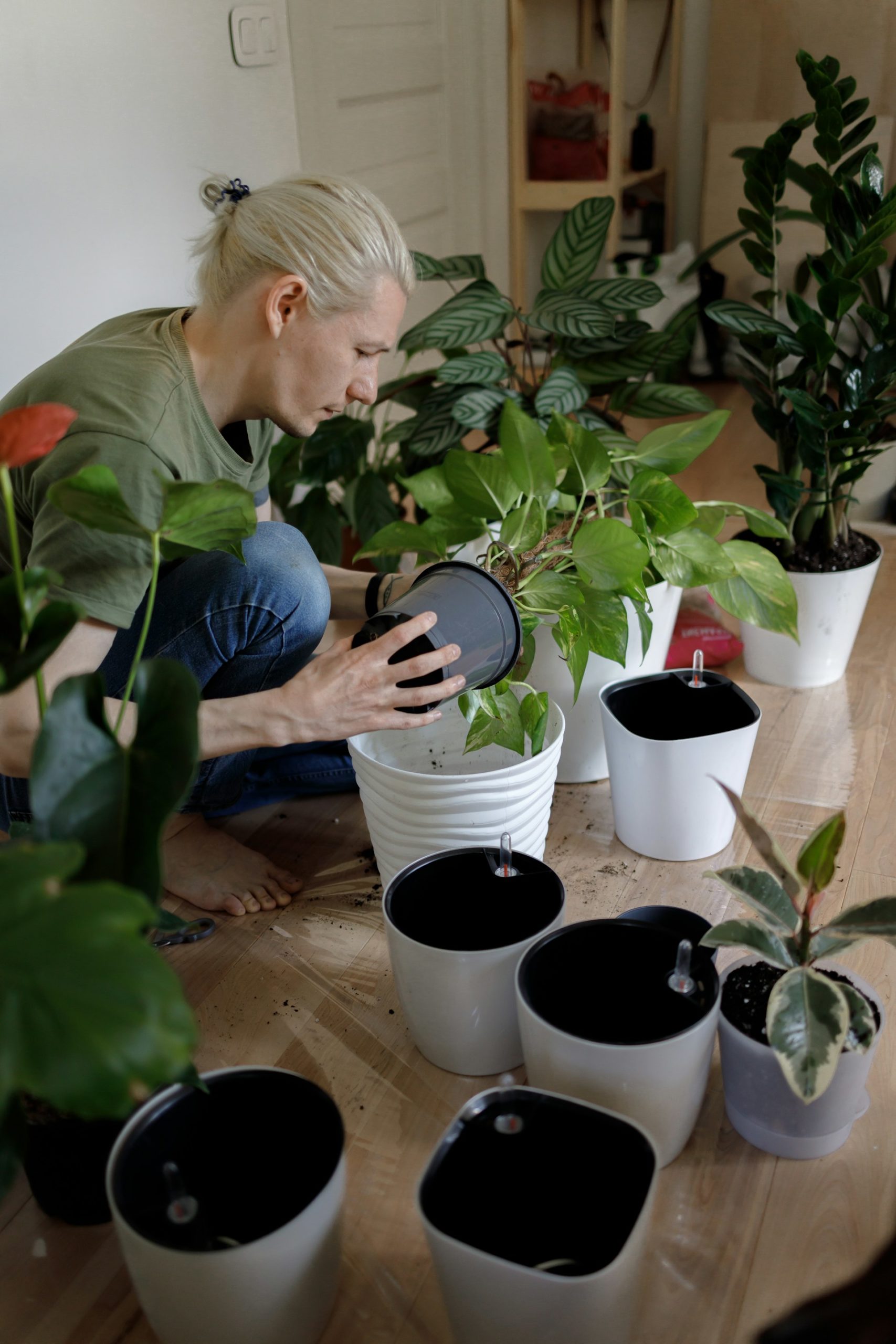 Leafy Bliss: Essential Tips for Indoor Plant Enthusiasts
