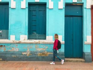 Colors Go With Turquoise