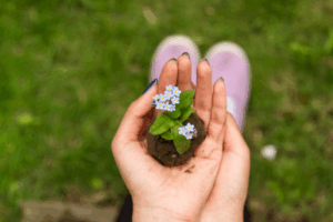 Best Gardener