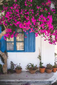 If Your Garden Is Not What You Want It To Be, It's Time To Make Some Changes