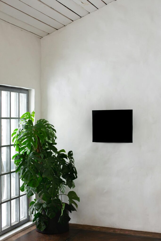 Breathe Easy in Your Home