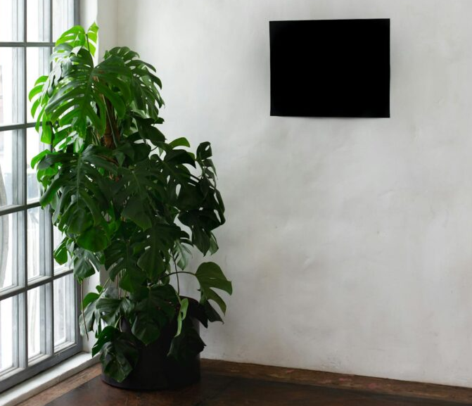Breathe Easy in Your Home