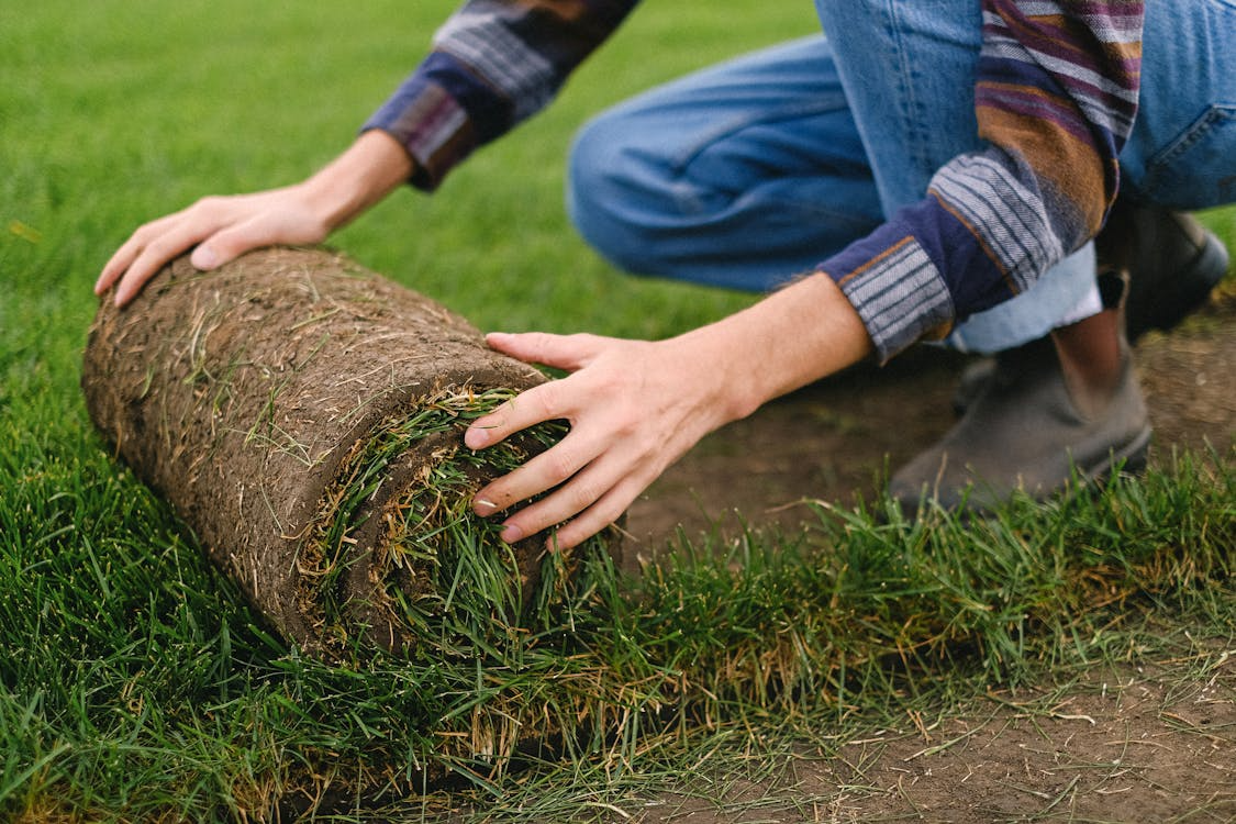 6 Common Sodding Mistakes and How to Avoid Them