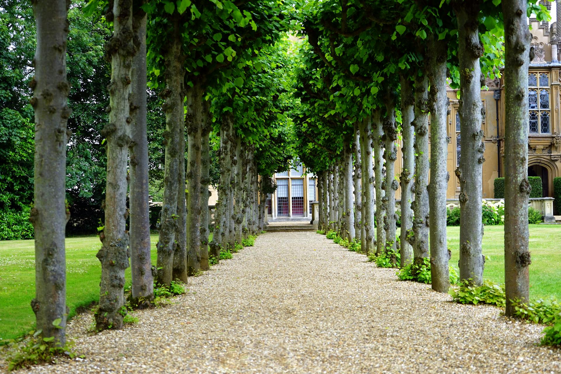 Securing Your Outdoor Space - Essential Security Tips for Patios, Decks, and Garden Spaces